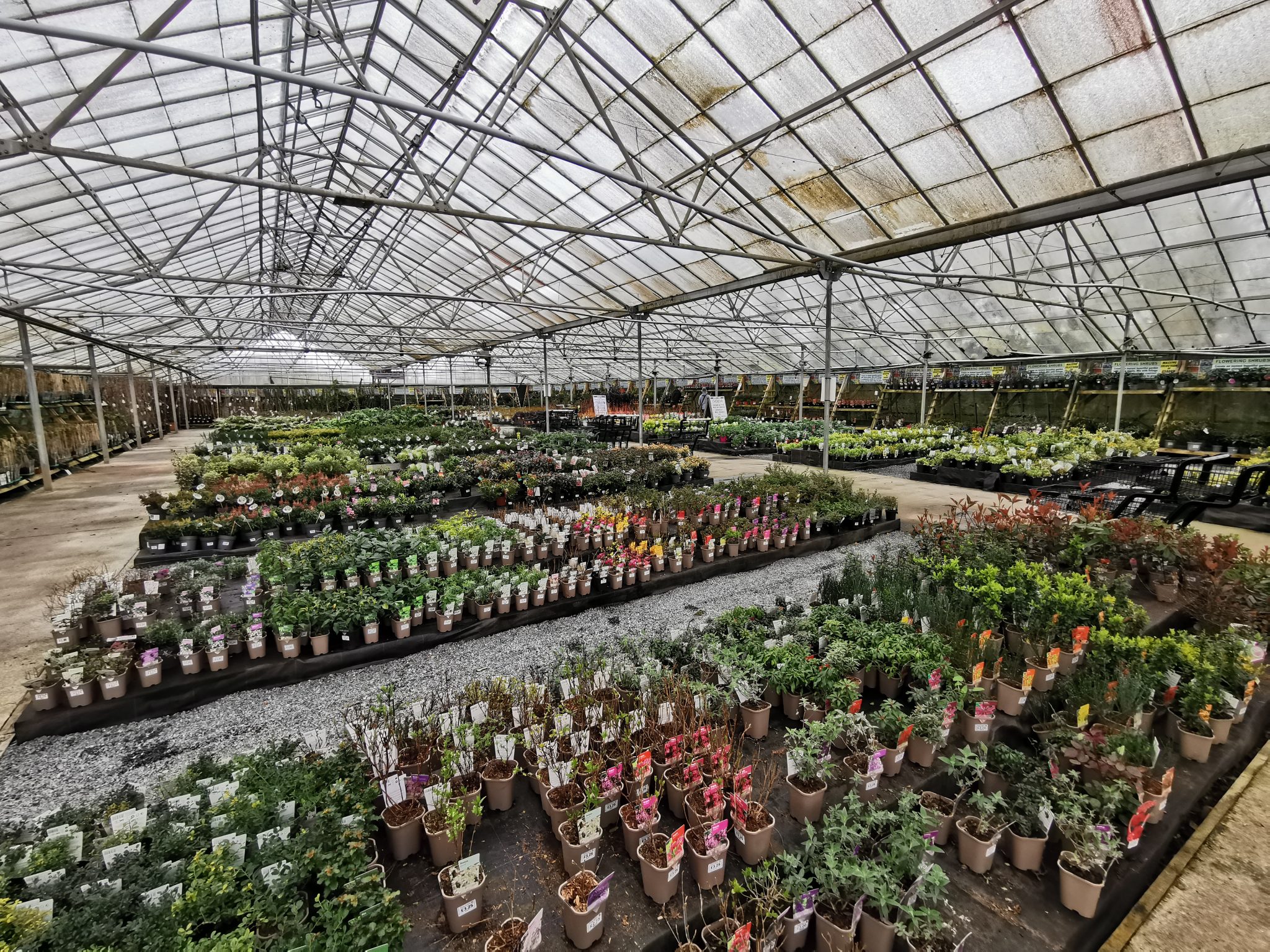 Plants Galore - Plymouth | Garden Centre and Hardware Store