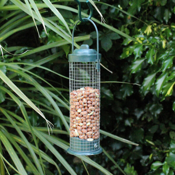 Green colour standard nut feeder