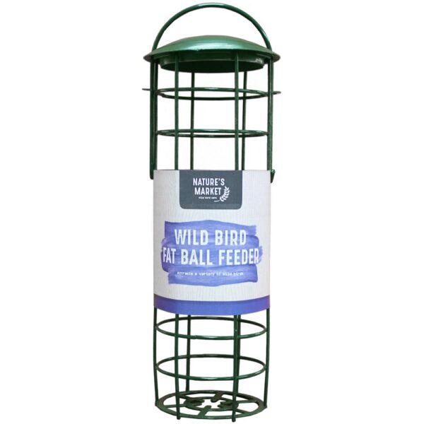 Green standard suet fat ball bird feeder.