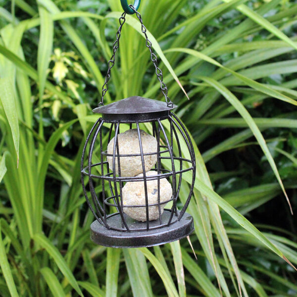 Mini Caged Fat Ball Bird Feeder