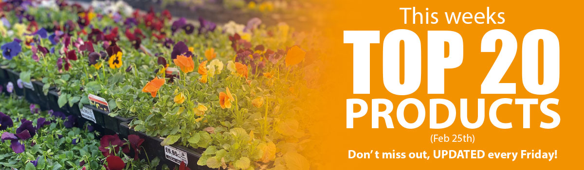top 20 products at Plants Galore