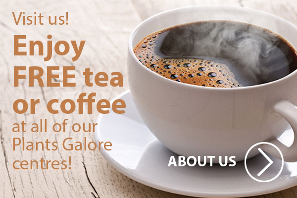 Free coffee and tea for customers at all of out stores