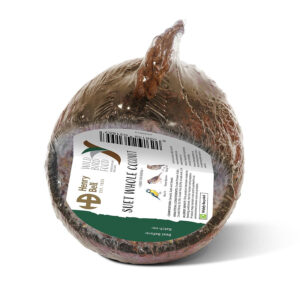 Whole Coconut bird food