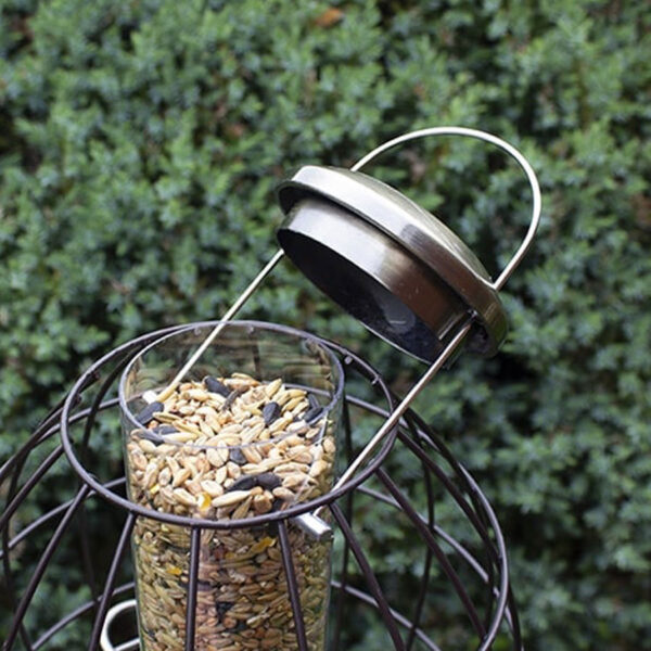 Squirrel Proof Feeder Seed