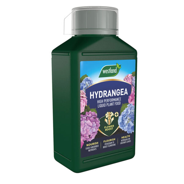 Hydrangea Specialist Liquid Feed