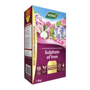 Sulphate of Iron Ericaceous Plant Food
