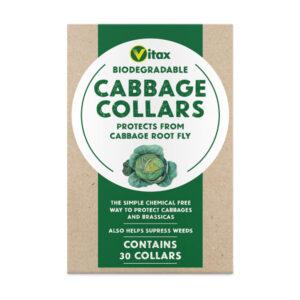 cabbage collars