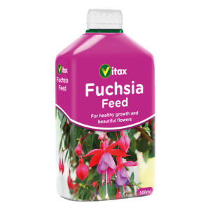 Fuchsia Feed