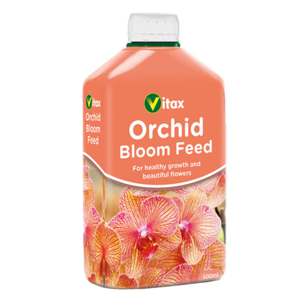 Orchid Bloom Feed