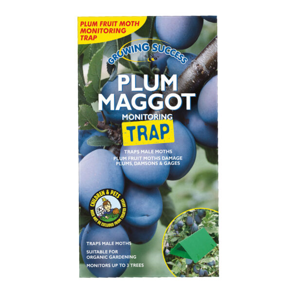 Maggot Monitoring Trap