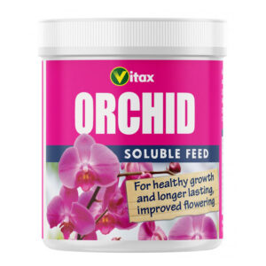 Orchid plant Feed