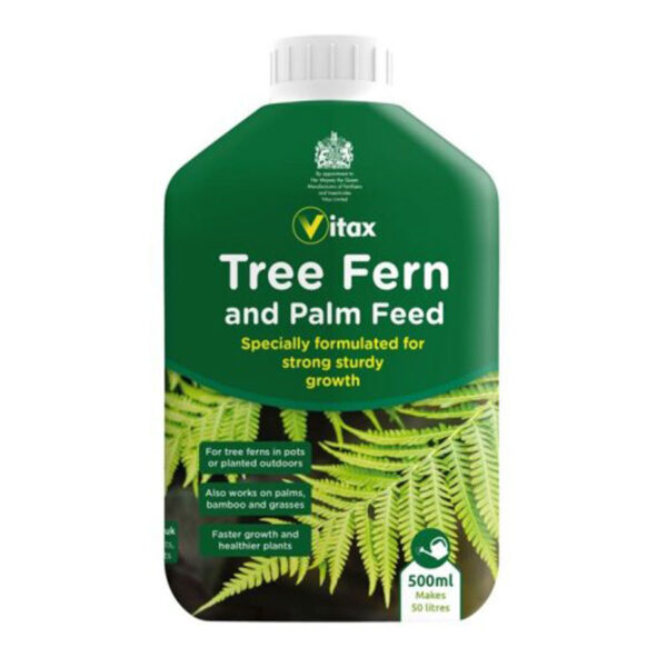 Tree Fern And Palm Feed