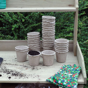Biodegradable Pots