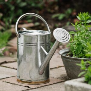 Watering Cans & Hand Sprayers