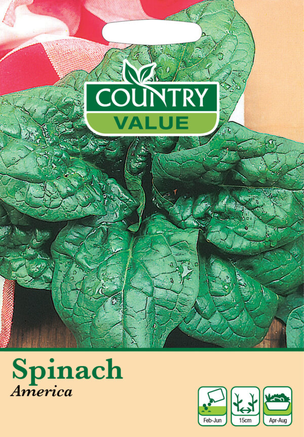 Spinach America