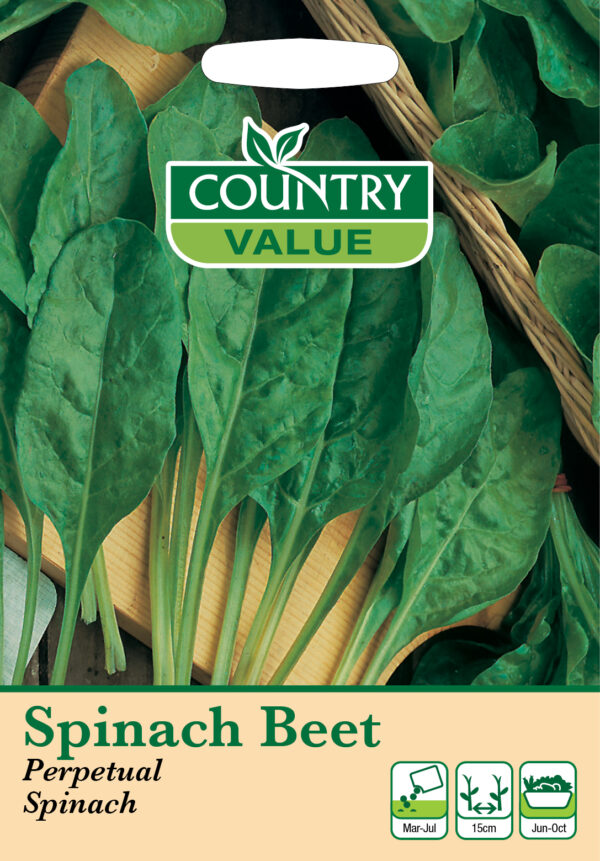 Spinach Beet Perpetual Spinach