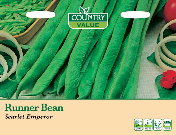 Runner Bean Scarlet Emperor