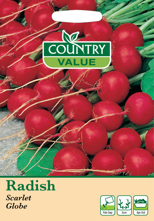 Radish Scarlet Globe