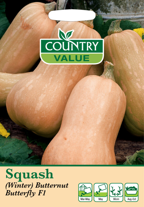 Squash (Winter) Butternut Butterfly F1