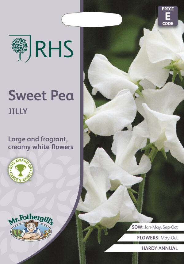RHS Sweet Pea Jilly