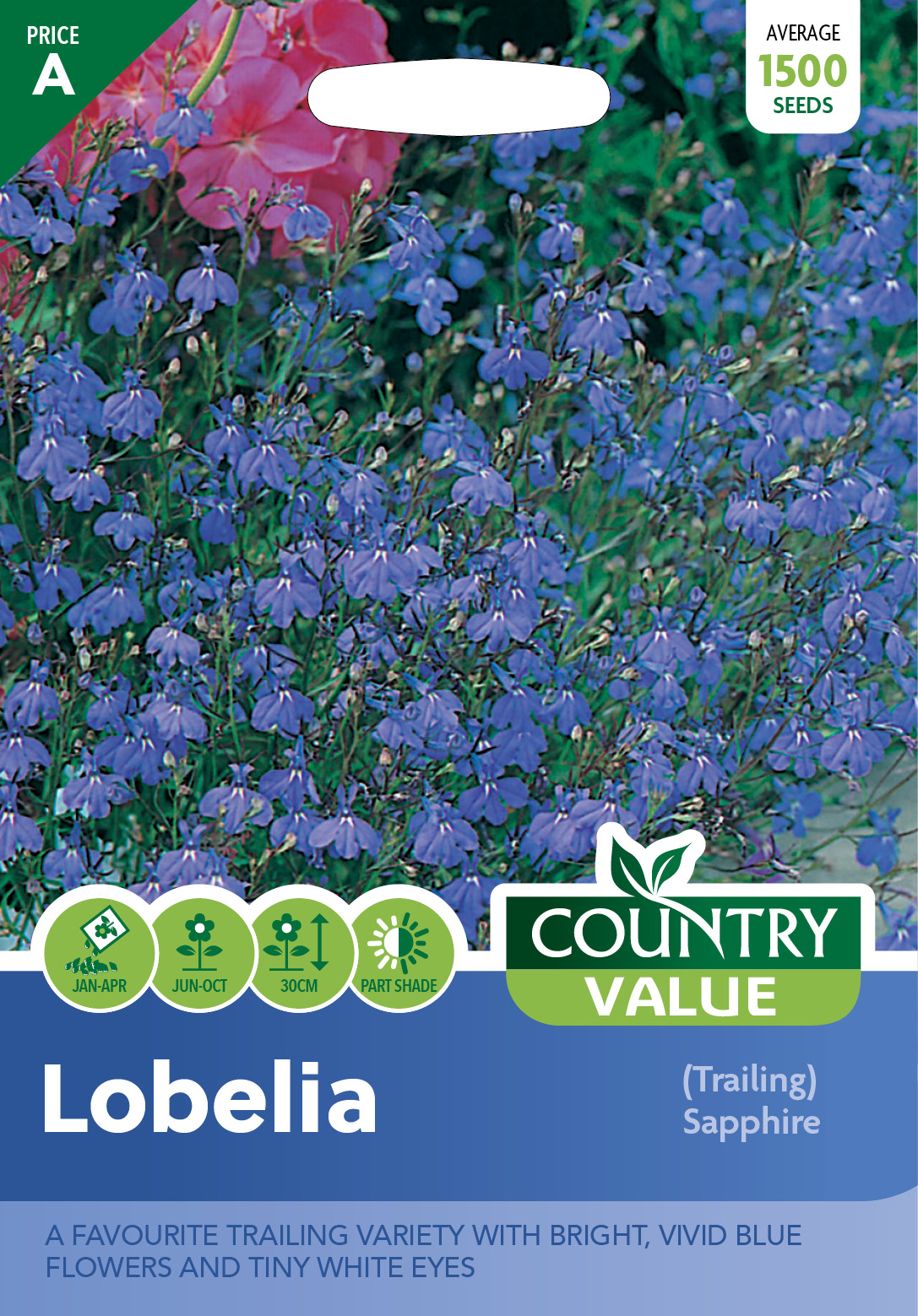 Lobelia (Trailing) Sapphire - Plants Galore
