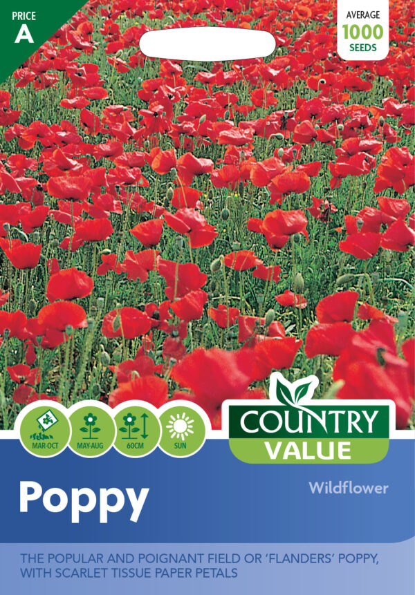Poppy Wildflower