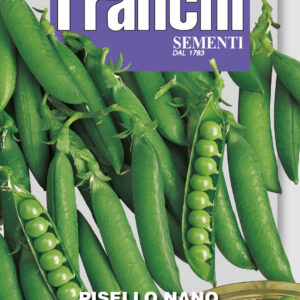 Pisello Nano Piccolo Provenzale (Round Pea)