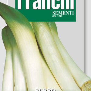 Porro Gigante D'Inverno (Leek)