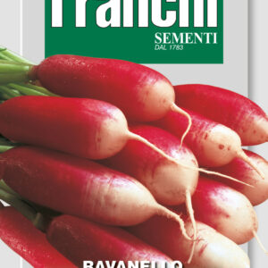 Ravanello Flamboyant (Radish)
