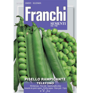 Pisello Rampicante Telefono (Wrinkled Pea)