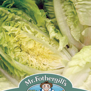 Lettuce Little Gem