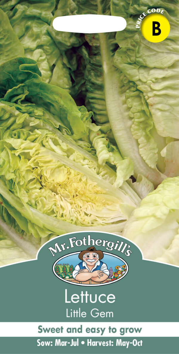 Lettuce Little Gem