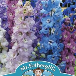 Delphinium High Society Mixed F1