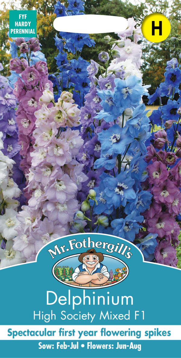 Delphinium High Society Mixed F1