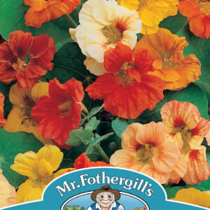 Nasturtium Jewel Mixed