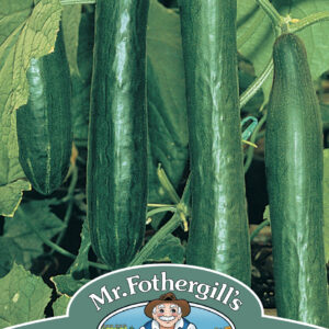 Cucumber Telepathy F1