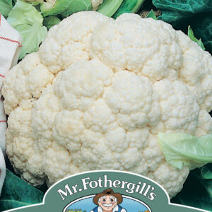 Cauliflower All The Year Round