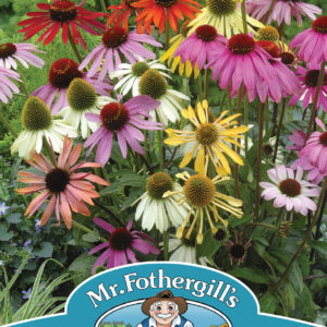 Echinacea Dreamcoat