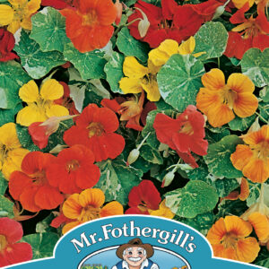 Nasturtium Alaska Mixed