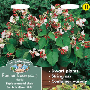 Runner Bean (Dwarf) Hestia