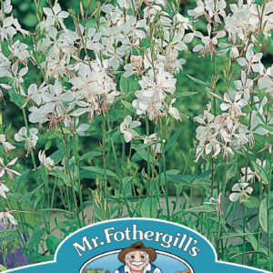 Gaura The Bride