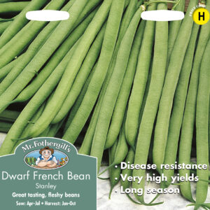 Dwarf French Bean Stanley