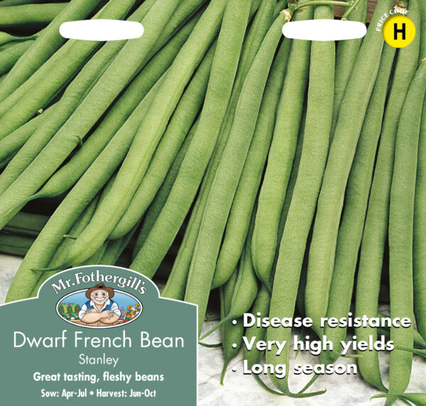 Dwarf French Bean Stanley