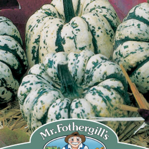Squash (Winter) Sweet Dumpling