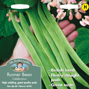 Runner Bean Celebration