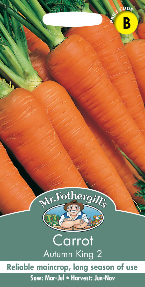 Carrot Autumn King 2