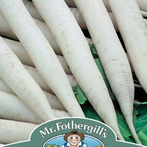Radish (Mooli) Mino Early