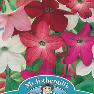 Nicotiana Sensation Mixed
