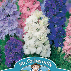 Larkspur Hyacinth Dwarf Mixed