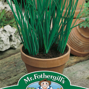 Chives